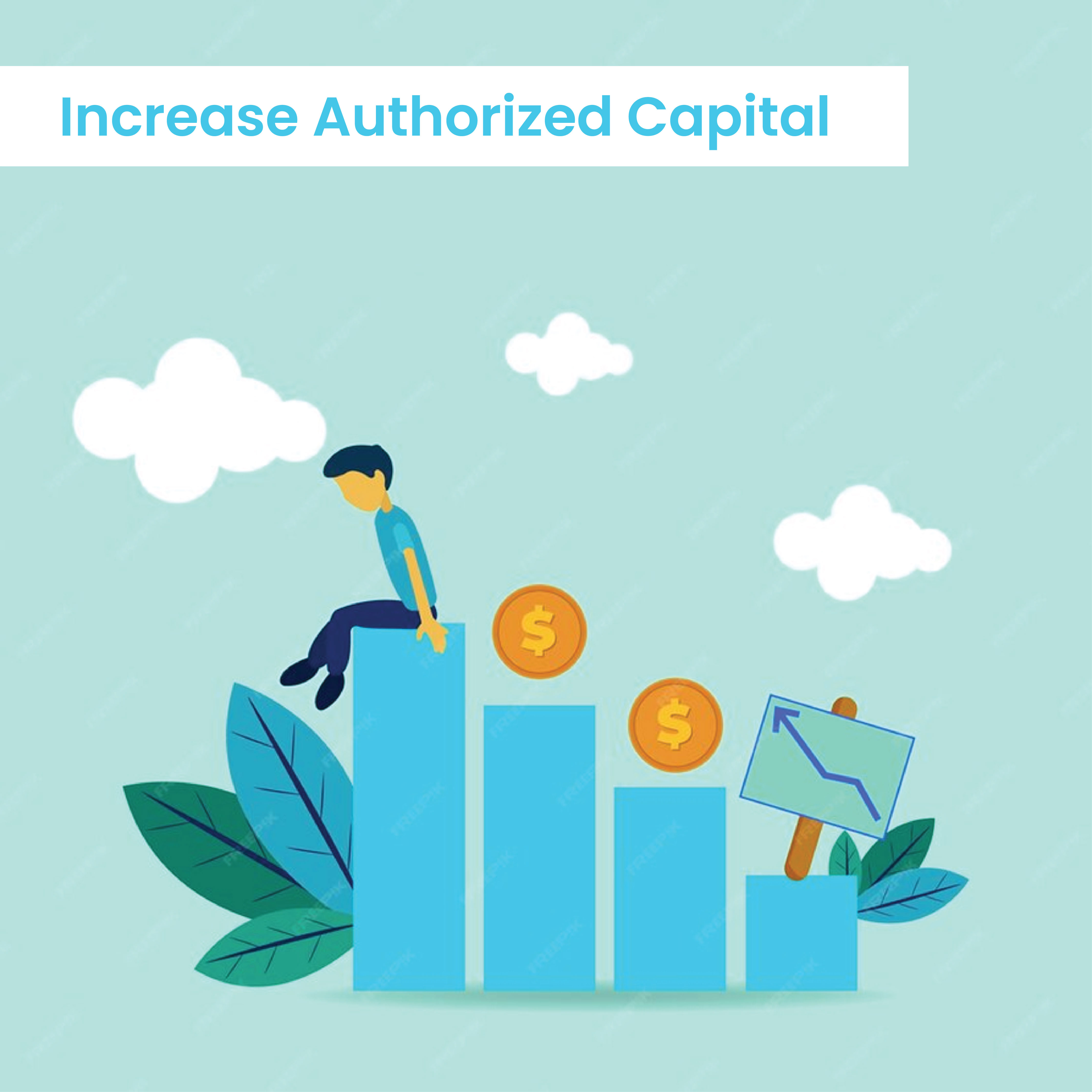 increase-authorized-capital